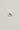 [RAGBAG] REFLECTION TOPAZ RING silver925 - Ring